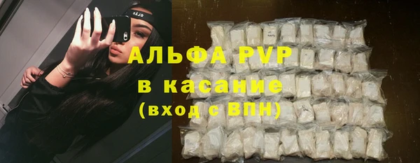 дмт Козельск