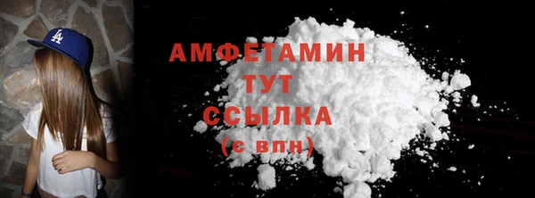 дмт Козельск