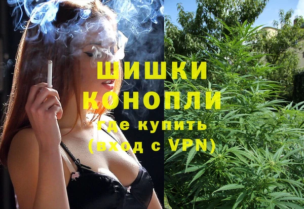 крисы Кодинск