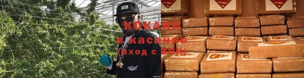дмт Козельск
