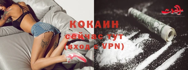 крисы Кодинск