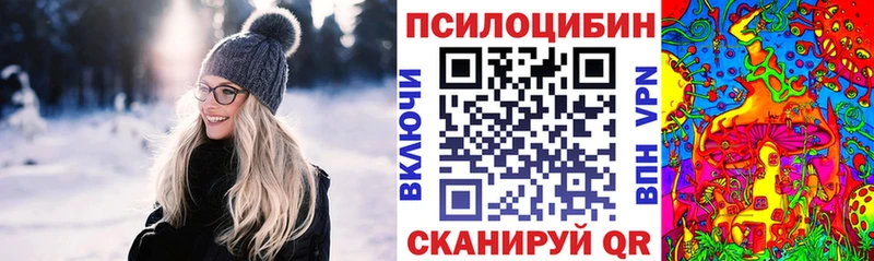 закладки  Михайлов  Галлюциногенные грибы Psilocybine cubensis 