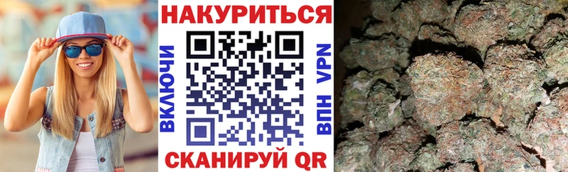Канабис сатива  продажа наркотиков  Михайлов 